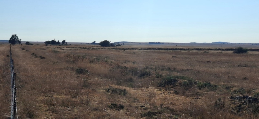  Bedroom Property for Sale in Bloemfontein Rural Free State